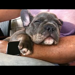 Meet your Posher, Michelle